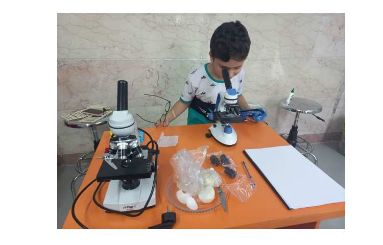 زنگ علوم چهارم 2 1