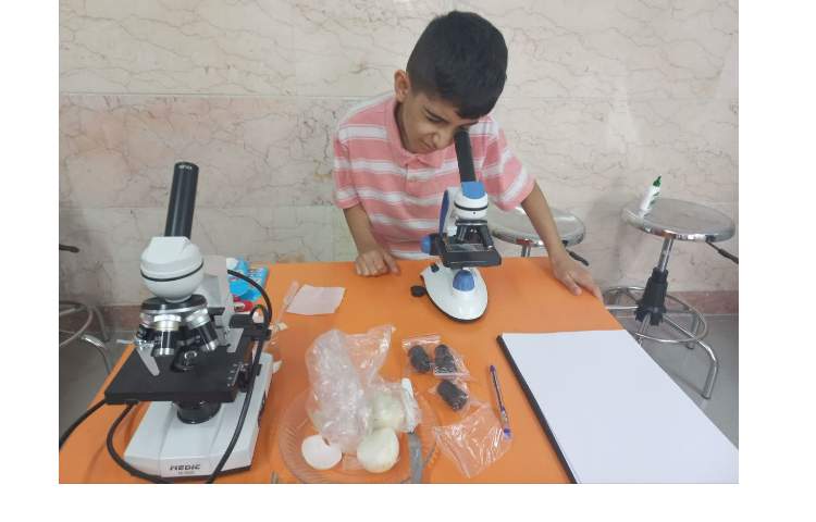 زنگ علوم چهارم 2 2