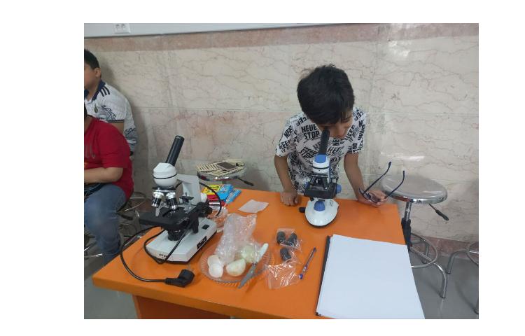 زنگ علوم چهارم 2 5