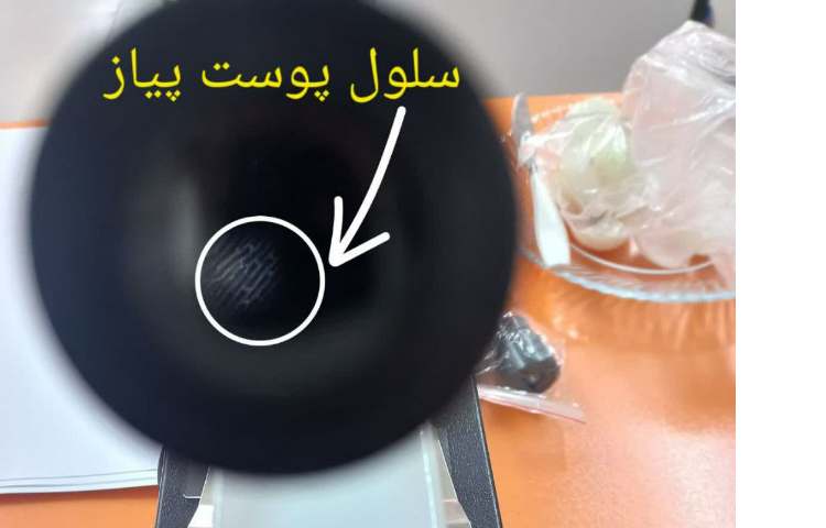 زنگ علوم چهارم 2 8