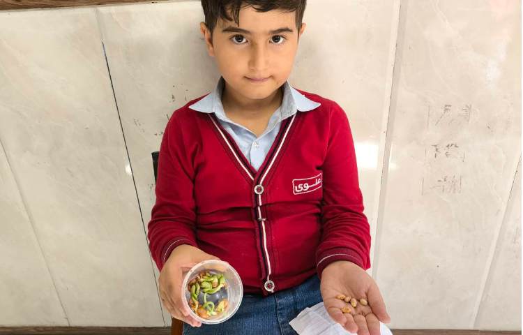 زنگ علوم -چگونگی رشد گیاهان در شرایط مختلف 8