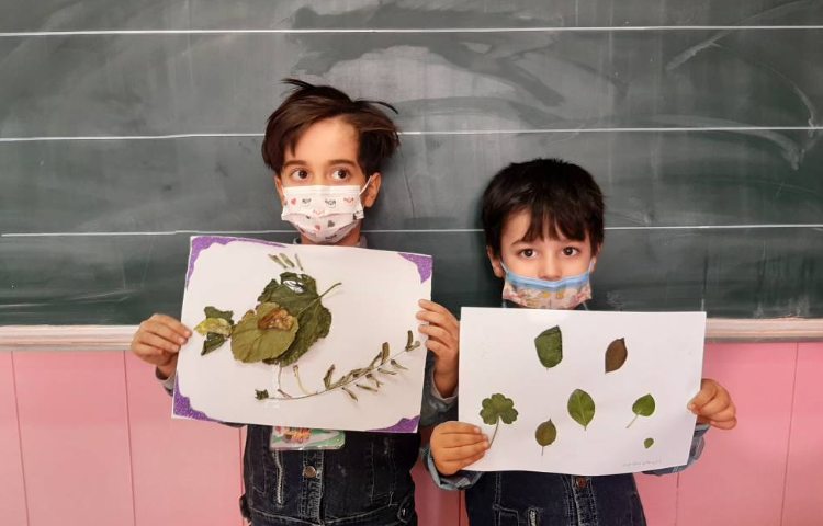 :زنگ علوم، کلاس سیب 1