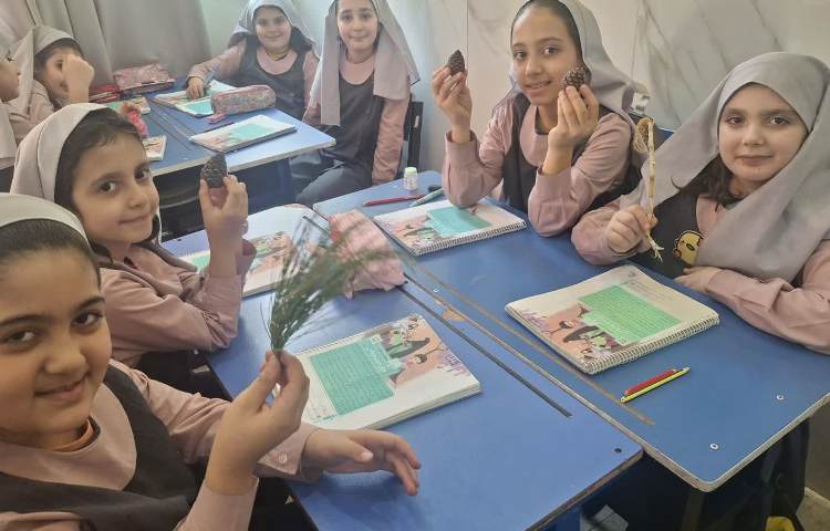 زنگ علوم 1