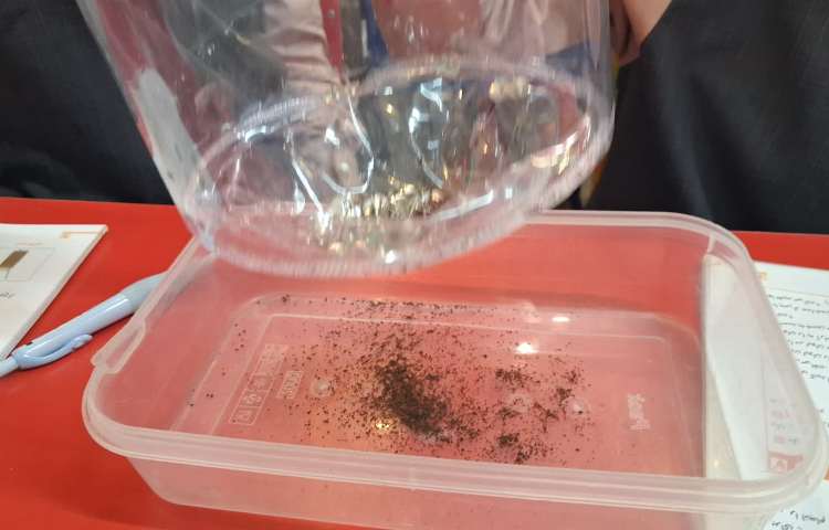 زنگ علوم 2