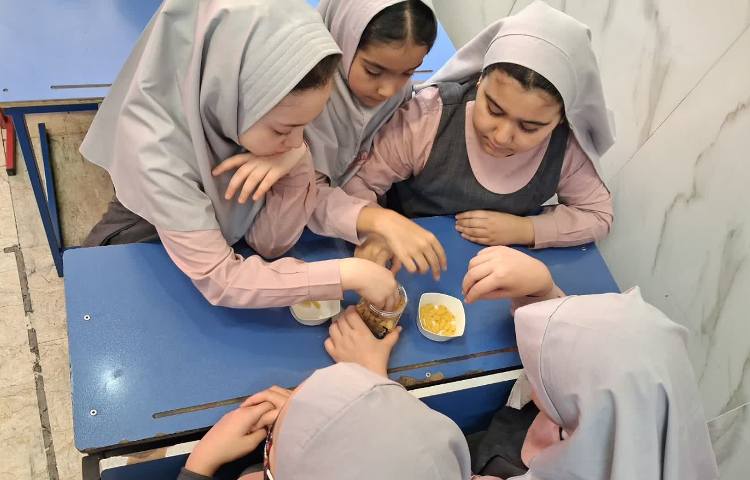 زنگ علوم