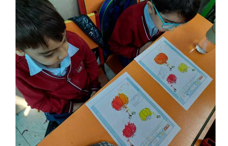 زنگ ماهرشو ترکیب رنگ 1