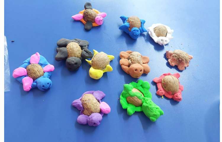 زنگ ماهرشو ساخت لاک پشت