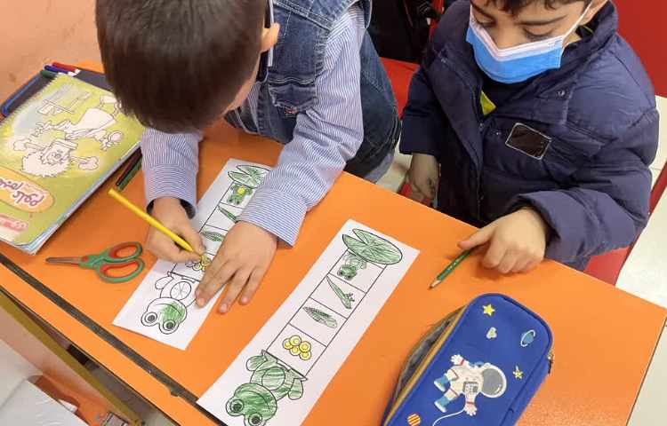 زنگ ماهرشو( کاردستی مراحل رشد قورباغه)