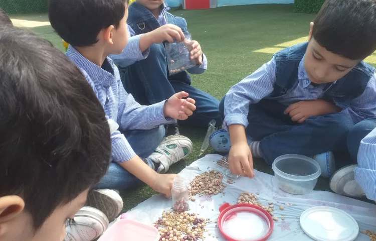 زنگ ماهرشو 1