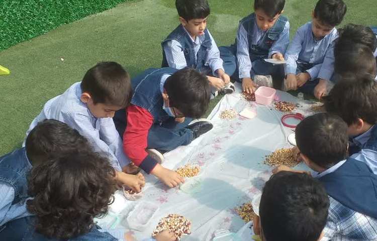 زنگ ماهرشو 4