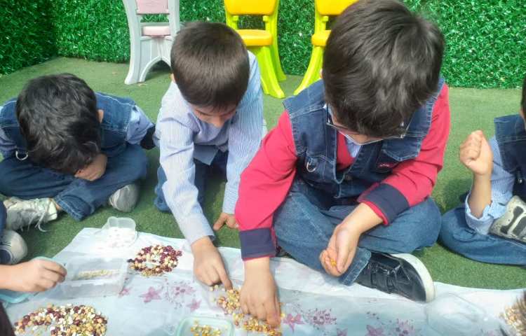 زنگ ماهرشو 5