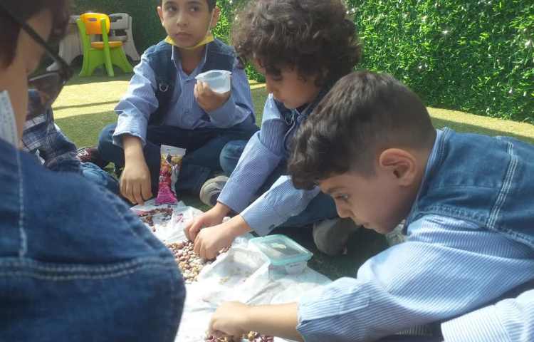 زنگ ماهرشو 6