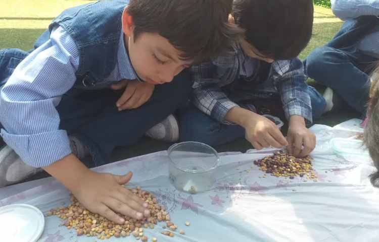 زنگ ماهرشو 7