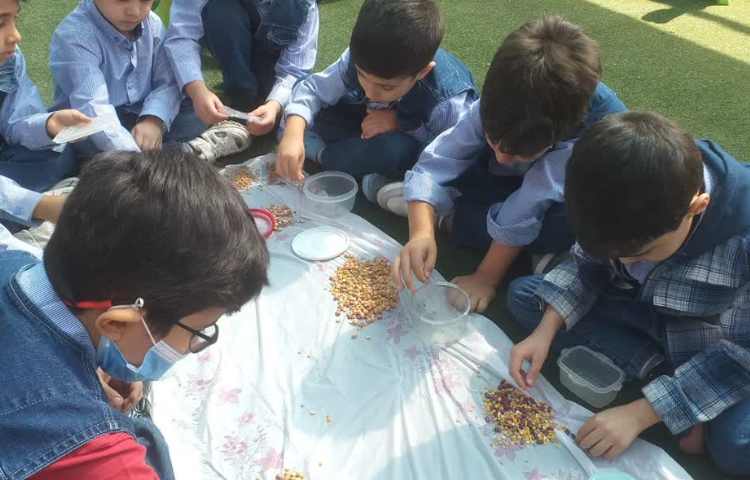 زنگ ماهرشو 8