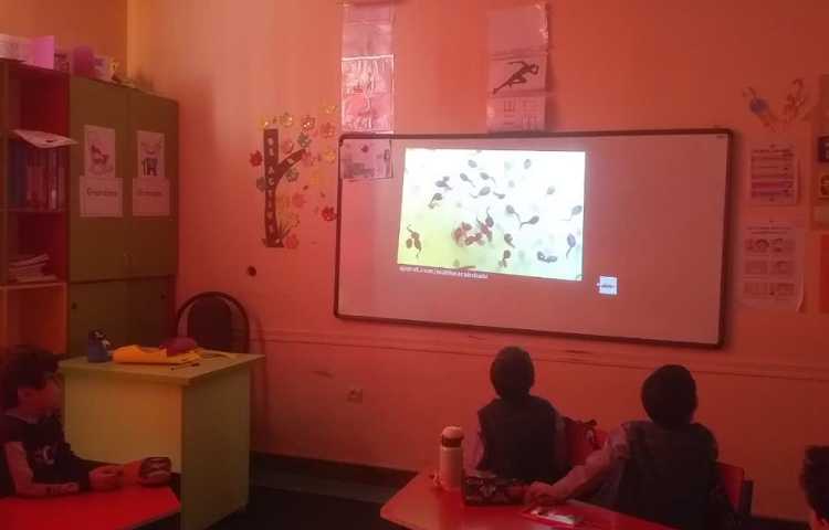 زنگ ماهر شو ساخت کاردستی مربوط به مراحل رشد قورباغه 2