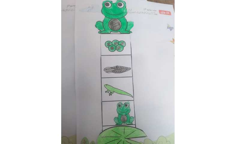 زنگ ماهر شو ساخت کاردستی مربوط به مراحل رشد قورباغه 4