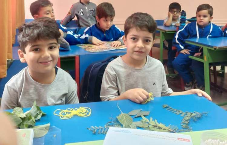 زنگ ماهر شو 2