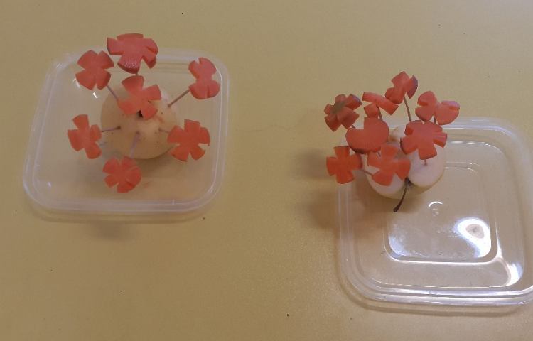 زنگ ماهر شو 3