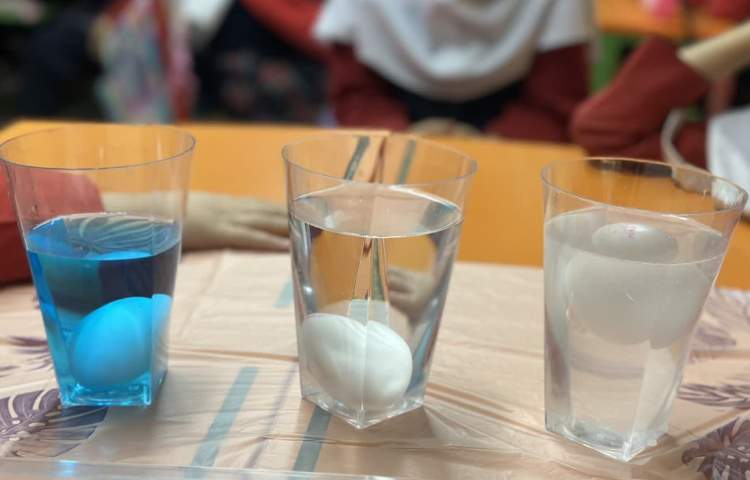 زنگ ملی علوم 4