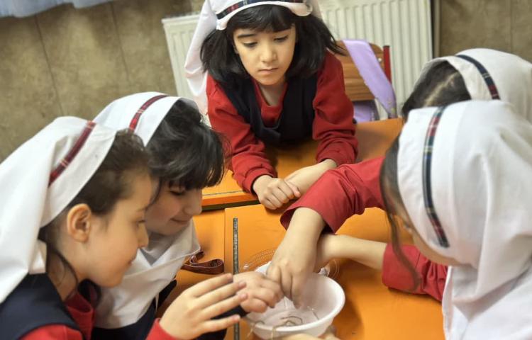 زنگ ملی علوم 7