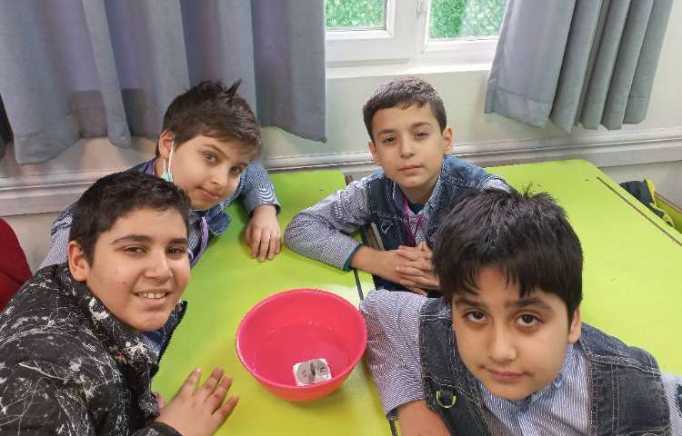 زنگ هیجان انگیز علوم 3