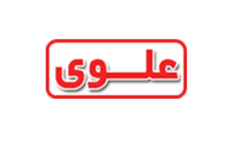 زیانویسی