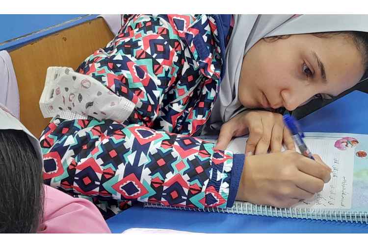 زیبانویسان 3