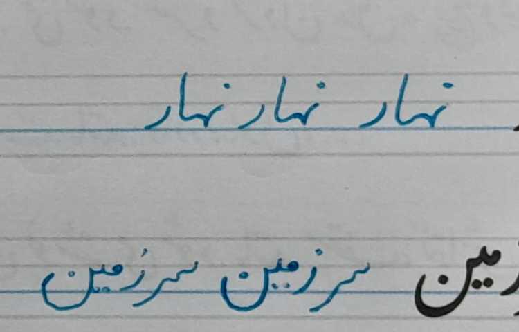 زیبانویسان