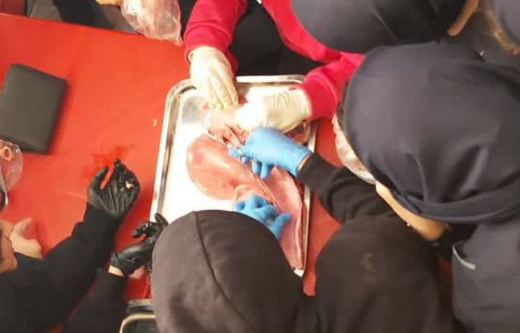 زیست شناسی 2