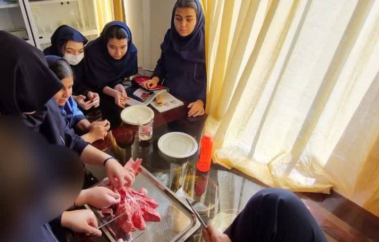 زیست شناسی 3