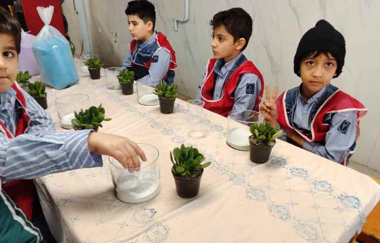 ساخت تراریوم 1