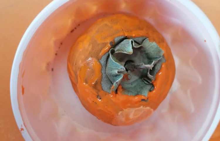 ساخت دست سازه خرمالو با گل سفالگری 1