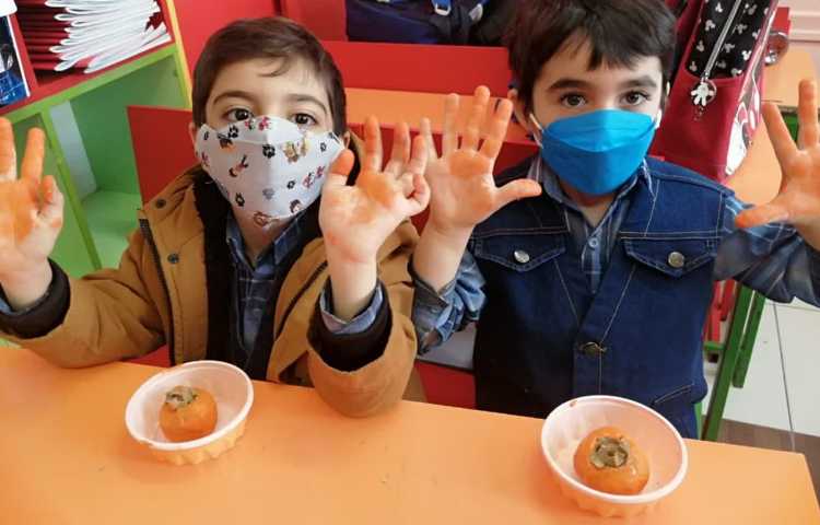 ساخت دست سازه خرمالو با گل سفالگری