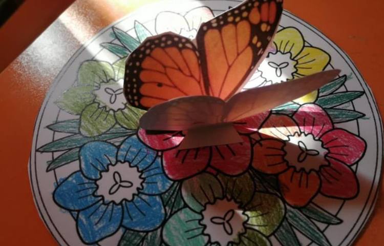 ساخت دست سازه پروانه و رنگ آمیزی گل پایه سوم دبستان 1