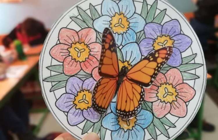 ساخت دست سازه پروانه و رنگ آمیزی گل پایه سوم دبستان 4