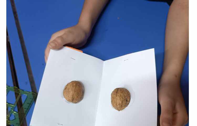 ساخت ساز دستی فصل 5 علوم صدا ها و تلفیق آن با ریاضی 2