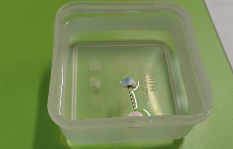 ساخت قطب نمای دستی در کلاس علوم 2