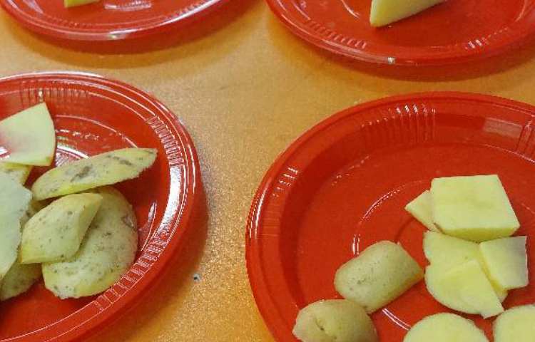 ساخت مکعب با سیب زمینی و برش های افقی و عمودی 3