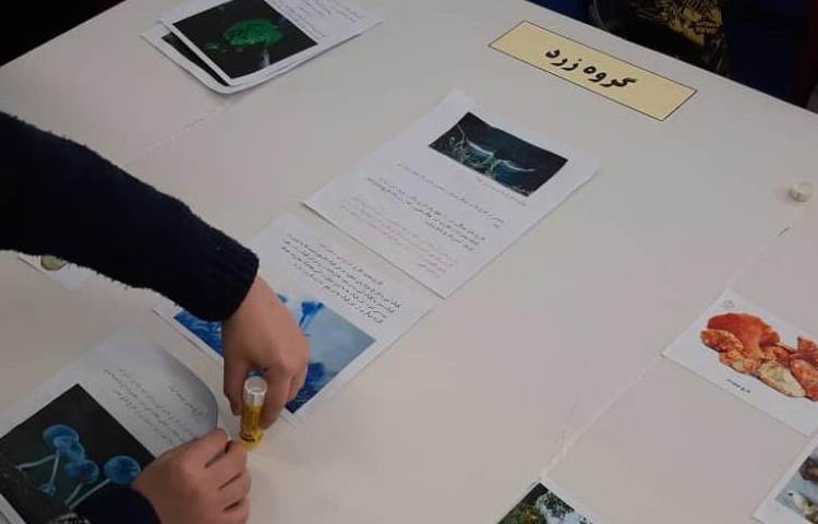 ساخت و طراحی پوستر هفته ملی علوم پایه چهارم دبستان 1