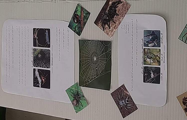 ساخت و طراحی پوستر هفته ملی علوم پایه چهارم دبستان 6