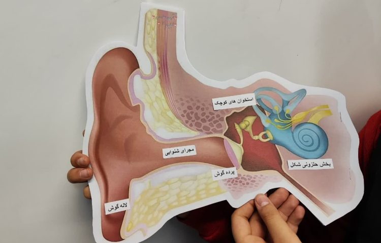 ساخت پوستر 2