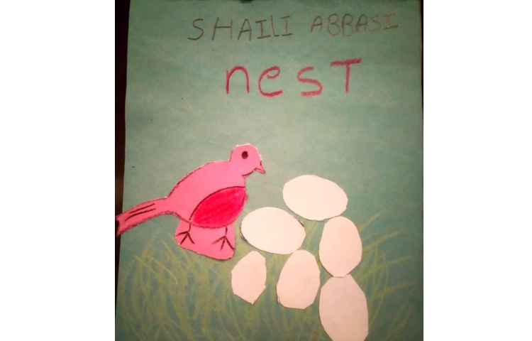 ساخت کاردستی nest بعد از یادگیری صدای n توسط دانش آموزان پایه اول 1