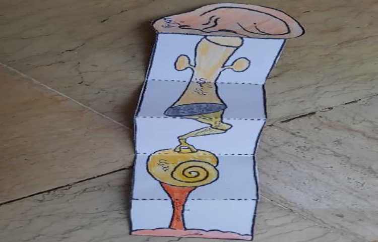 ساخت کاردستی 5