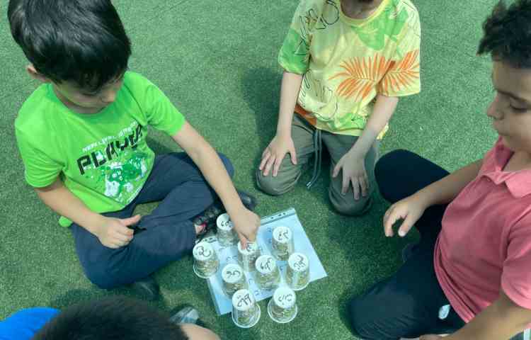 ساخت کلمه با حروف بهم ریخته با هدف تقویت املا 4