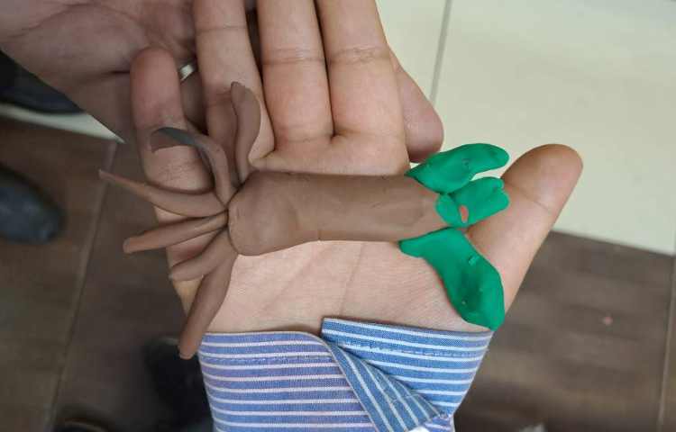 ساخت گیاه به وسیله خمیربازی 1