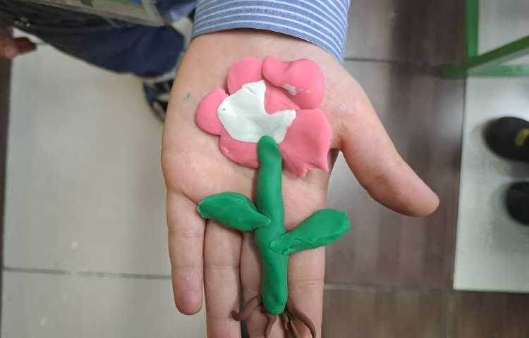 ساخت گیاه به وسیله خمیربازی 3