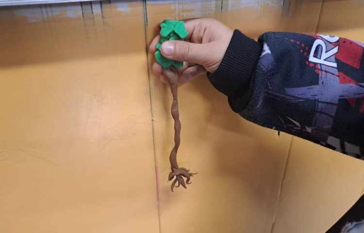 ساخت گیاه به وسیله خمیربازی 5