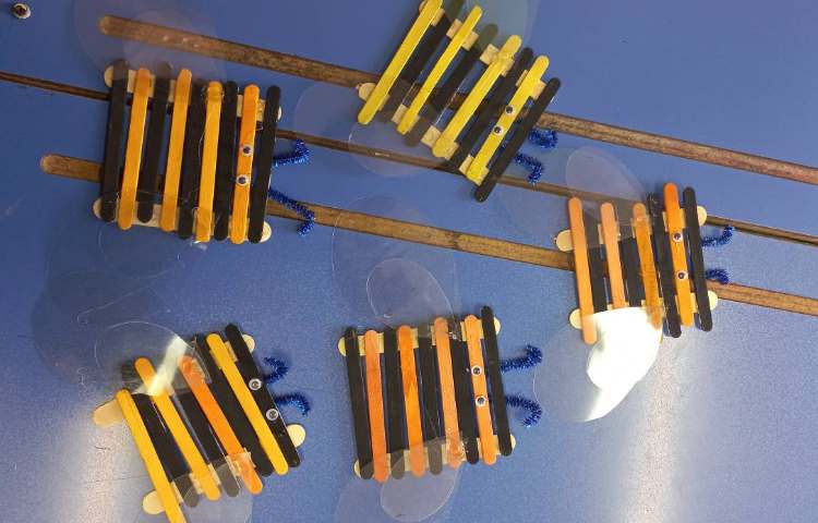 سازه چوبی زنبور عسل کارگروهی 1