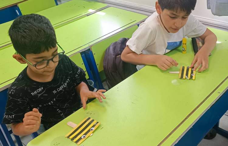 سازه چوبی زنبور 1