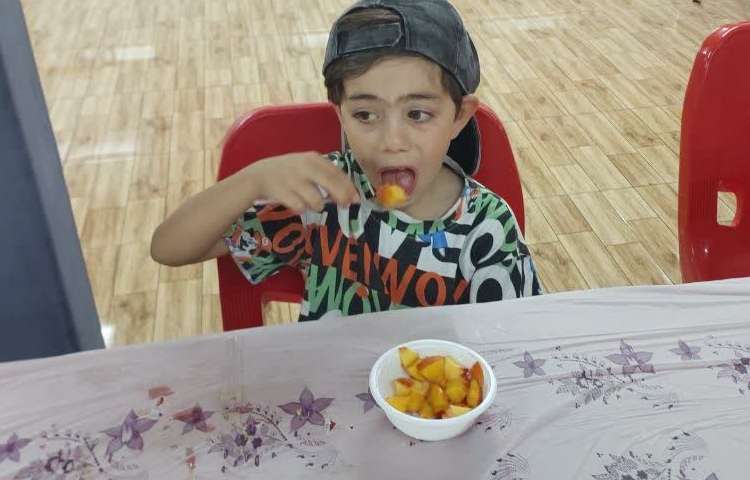 سالاد میوه 5